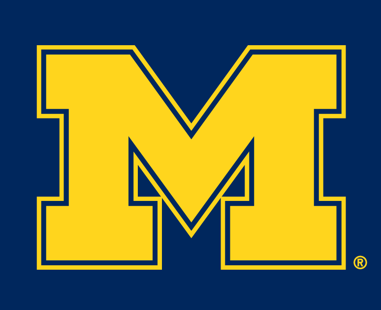 Michigan Wolverines 1996-Pres Alternate Logo v3 iron on transfers for T-shirts